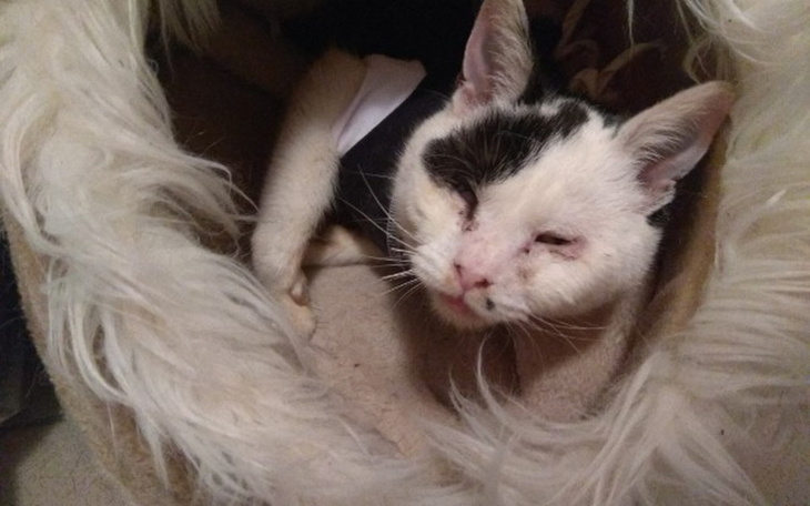 Zbiórka Mgiełka musi widzieć - zdjęcie główne