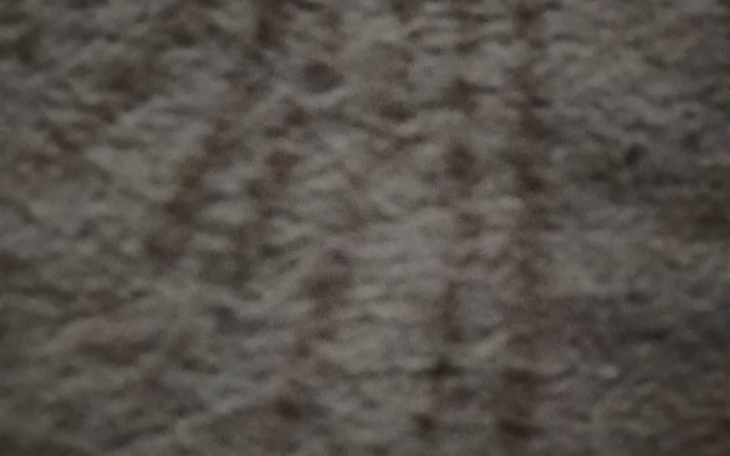 Zbiórka Potrzebne na jedzenie - zdjęcie główne