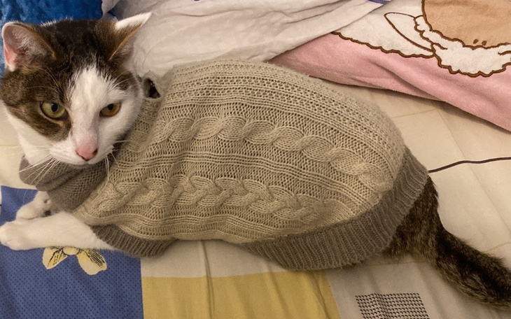 Zbiórka Bell vs. chłoniak - zdjęcie główne