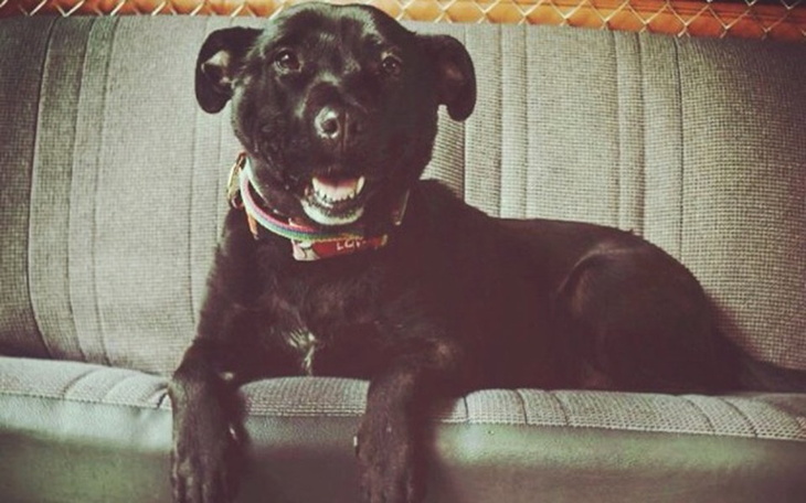 Zbiórka Dla przyjaciela. - zdjęcie główne