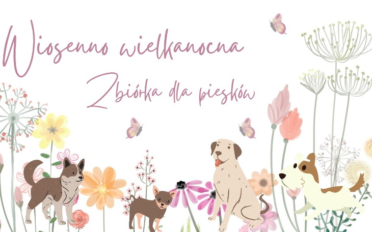 Zbiórka Wiosenna zbiórka dla piesków - zdjęcie główne