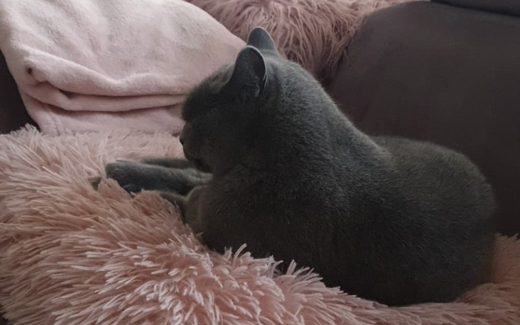 Zbiórka Na operację dla Zarki - zdjęcie główne