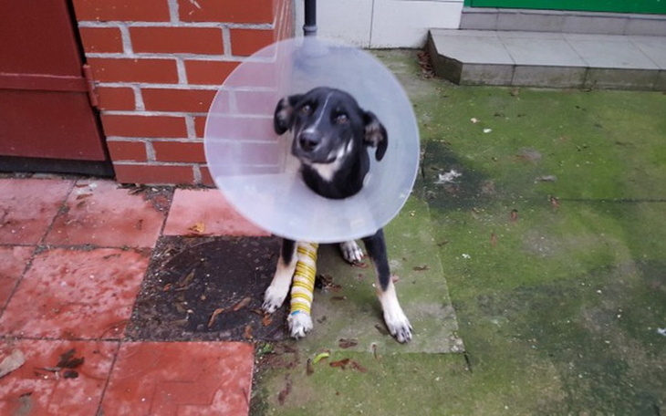 Zbiórka Z biletem do Radys - zdjęcie główne