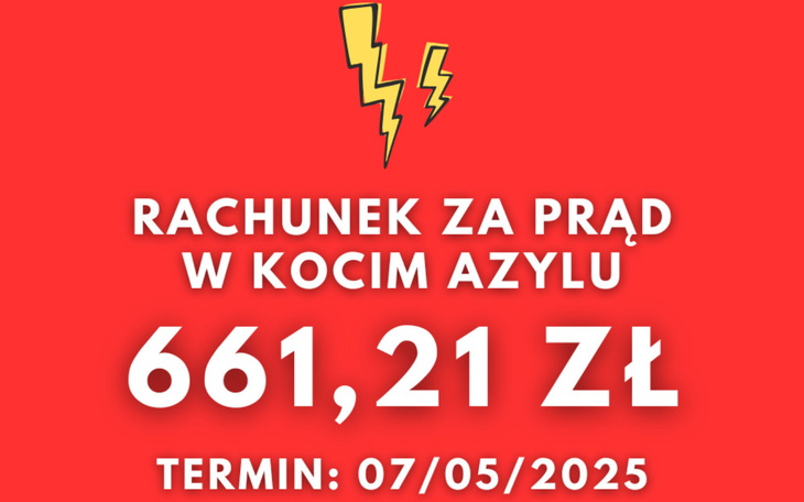 Rachunek za prąd w kocim azylu, kwota 661,21 zł.