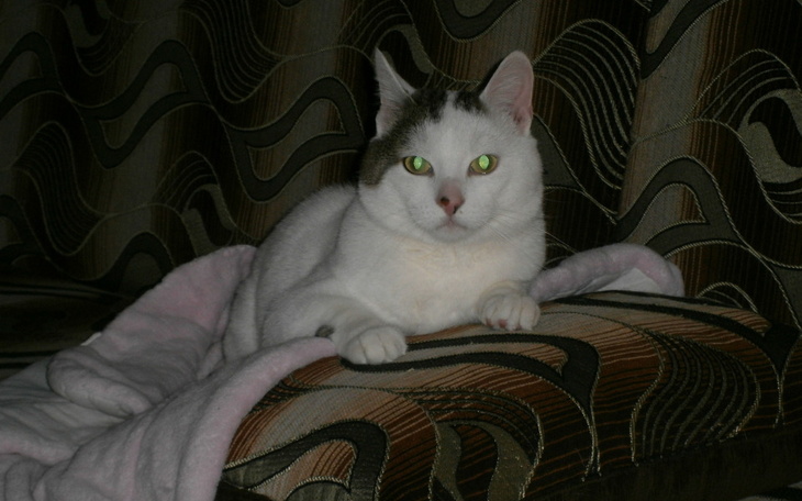 Zbiórka Uratuj mi życie i zdrowie - zdjęcie główne