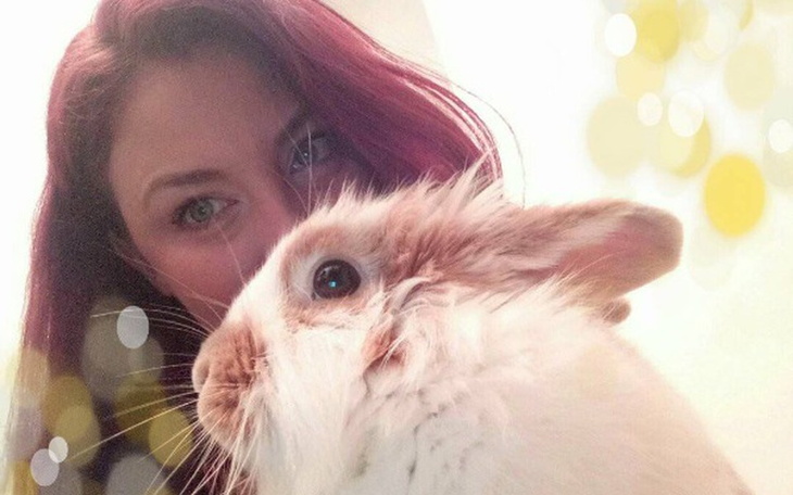 Zbiórka Urodzinowa zbiórka na króliki :) - zdjęcie główne