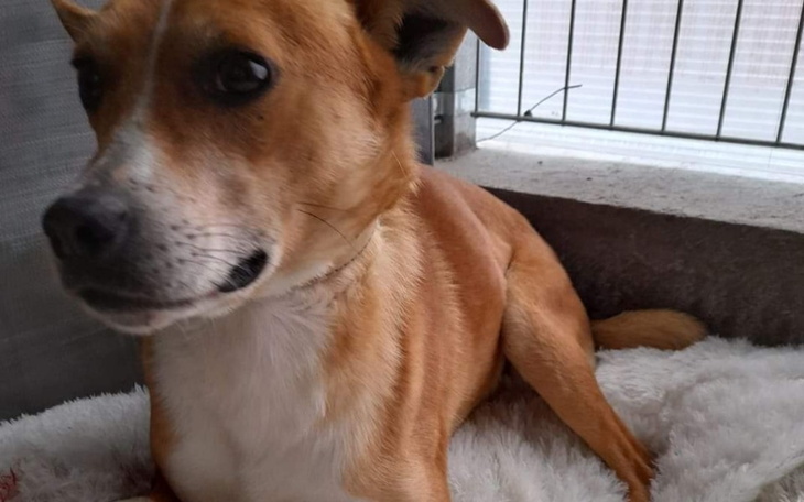 Zbiórka Droga do hoteliku - zdjęcie główne