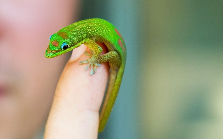 Zbiórka Na otwarcie własnego biznesu - zdjęcie główne