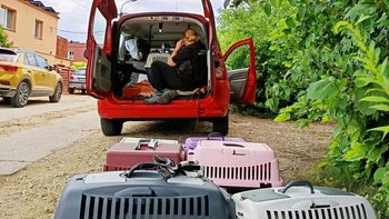 Zbiórka PALIWO na życie psów - miniaturka zdjęcia