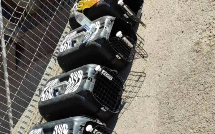 Zbiórka Walka z bezdomnością trwa - zdjęcie główne