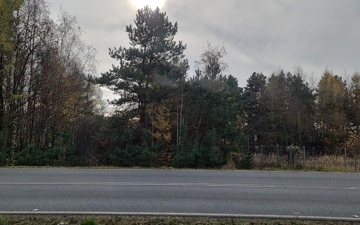 Zbiórka Wymarzony Dom dla rodziny. - zdjęcie główne