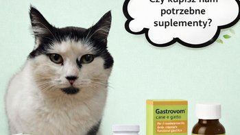 Zbiórka Suplementy - miniaturka zdjęcia