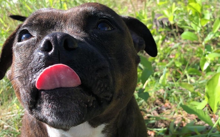 Zbiórka Na leczenie naszej Mani - zdjęcie główne