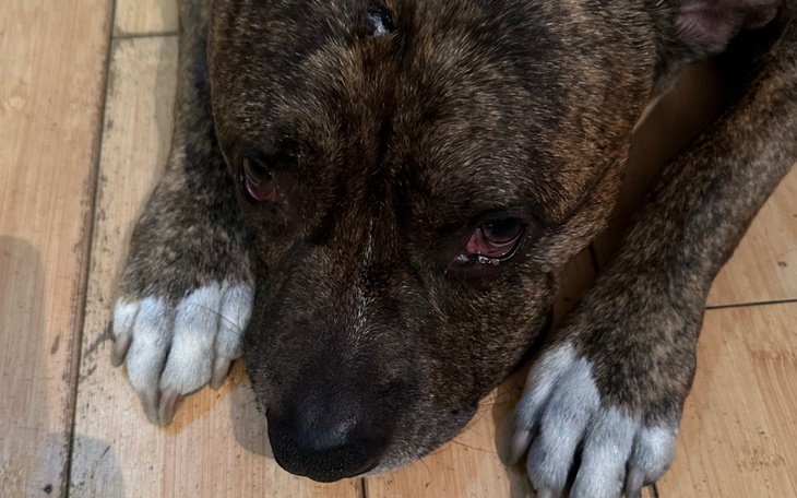 Zbiórka Pomoc w walce z rakiem kości - zdjęcie główne