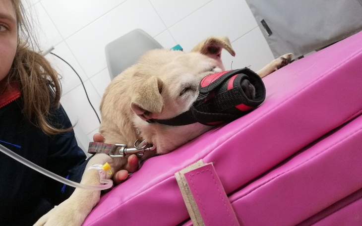 Zbiórka Na operację Klusi - zdjęcie główne