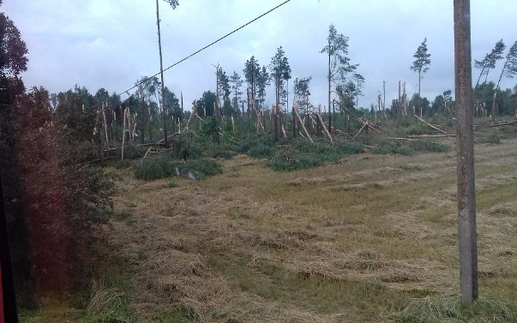 Zbiórka Pomoc Kaszubom po nawałnicy - zdjęcie główne