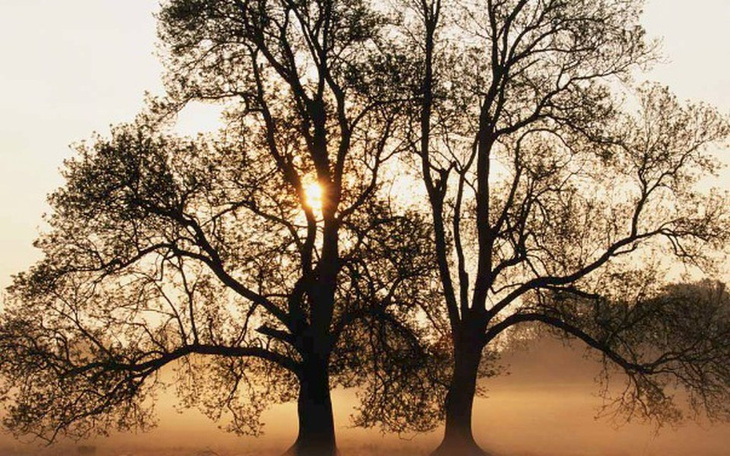 Zbiórka Uratujmy Darka! - zdjęcie główne