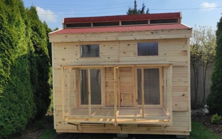 Zbiórka Gołębnik - zdjęcie główne