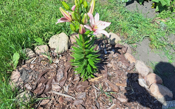 Zbiórka Brak słów - zdjęcie główne