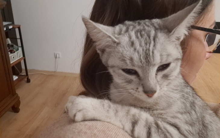 Zbiórka Dla Poli - zdjęcie główne