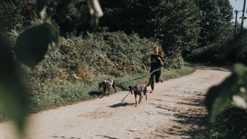 Zbiórka Run Jagoda, run! 😂 - miniaturka zdjęcia