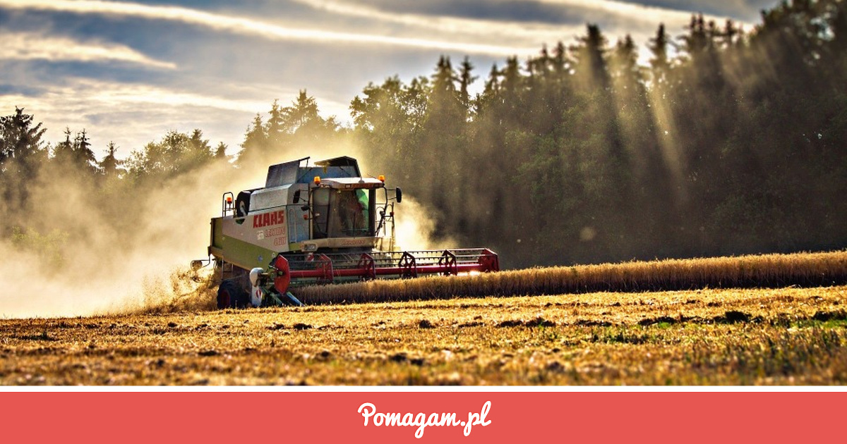 Zrzutka na Spełnienie Marzenia Młodego Chło - Pan Rolnik | Pomagam.pl