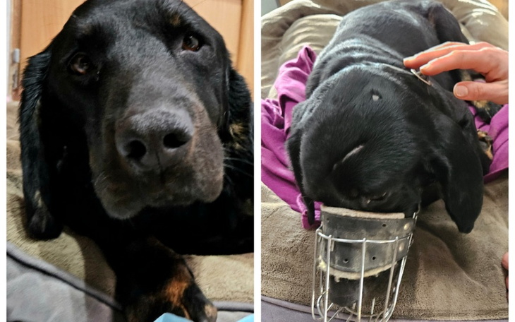 Zbiórka Walka o sprawność Boryska - zdjęcie główne