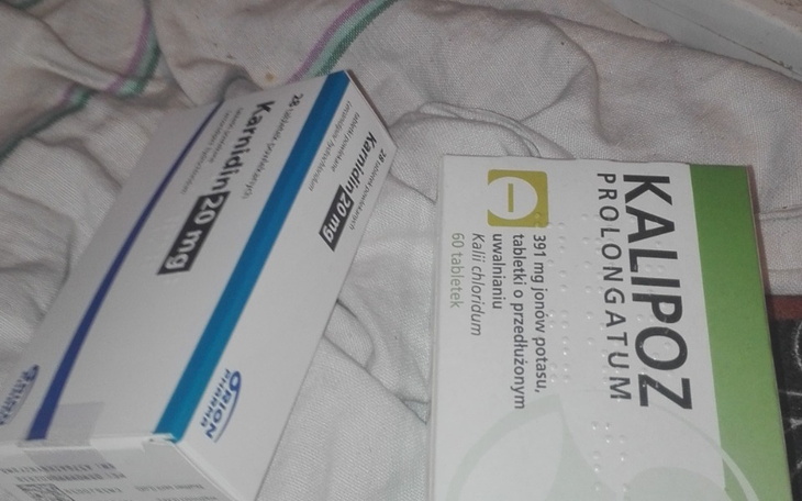 Zbiórka Na lelarstwa - zdjęcie główne