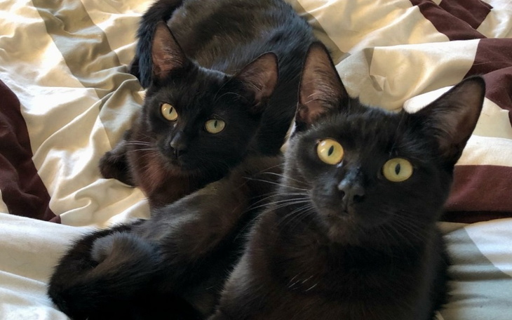 Zbiórka Minęło już ok. 9 tygodni odkąd M - zdjęcie główne