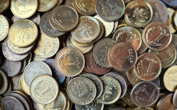 Zbiórka Zbieram na nowe życie i terapię - zdjęcie główne