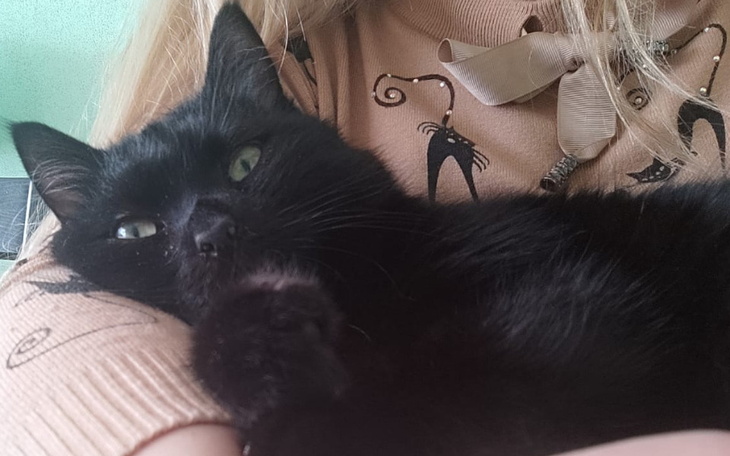 Czarny kot przytulony do właściciela, spokojnie odpoczywa.