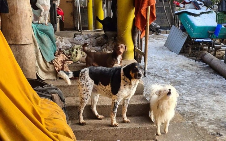 Zbiórka Wielka Szóstka - zdjęcie główne