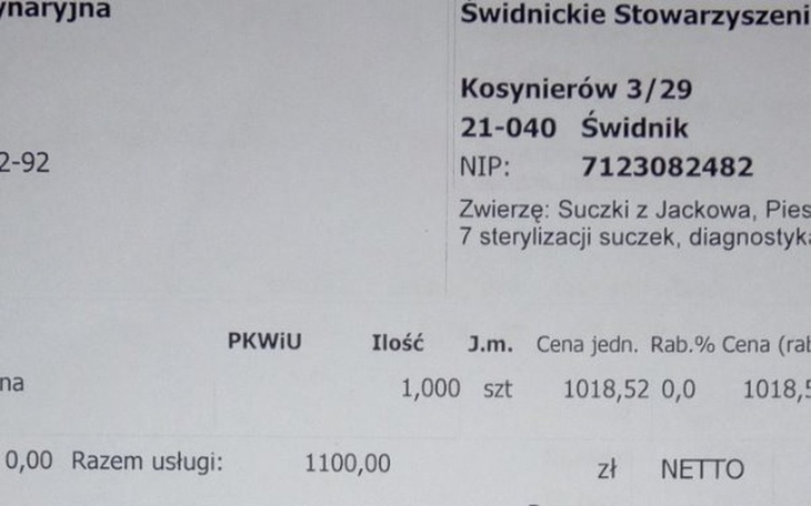 Zbiórka Na pomoc psom z Jackowa - zdjęcie główne