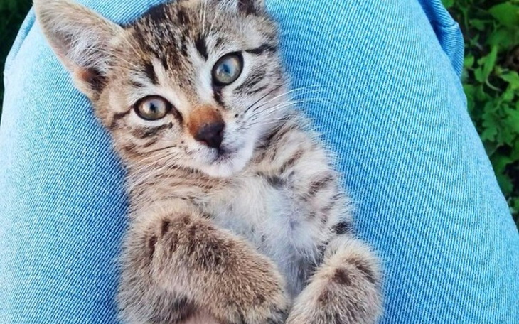 Zbiórka Pomóż nam zawalczyć o życie - zdjęcie główne