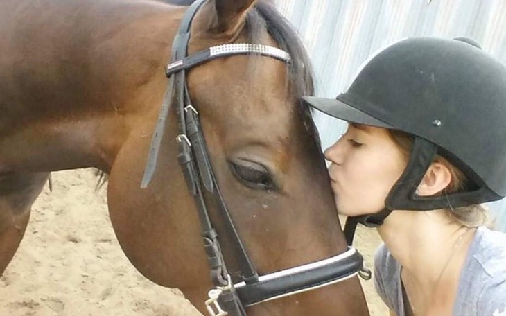 Zbiórka Operacja Mundiala - zdjęcie główne