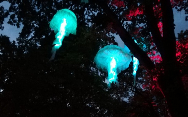 Zbiórka Pomoc 2 - zdjęcie główne