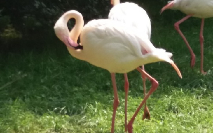 Zbiórka Dla 10 osobowej rodzinyna wyjazd - zdjęcie główne