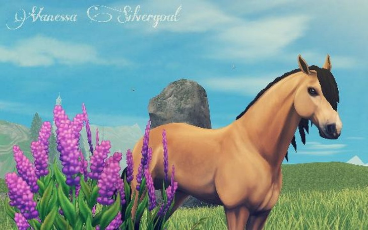 Zbiórka Na Star Coins - zdjęcie główne