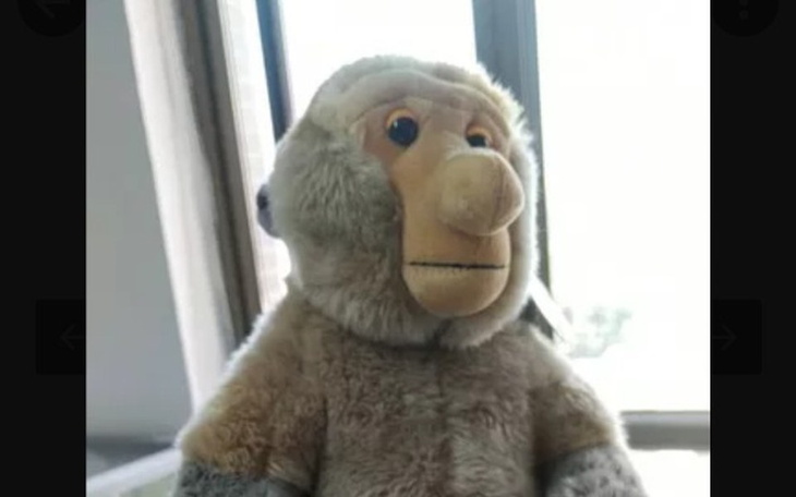 Zbiórka Las - zdjęcie główne