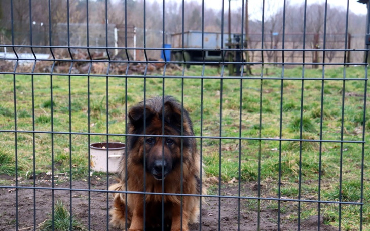Zbiórka Jestem Sara - zdjęcie główne