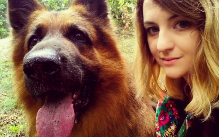 Zbiórka Pomóż mi pomagać zwierzętom - zdjęcie główne