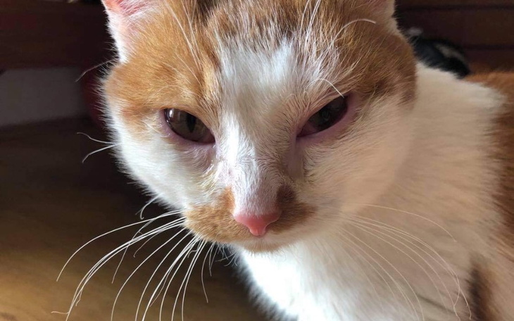 Zbiórka Smyk w potrzebie - zdjęcie główne