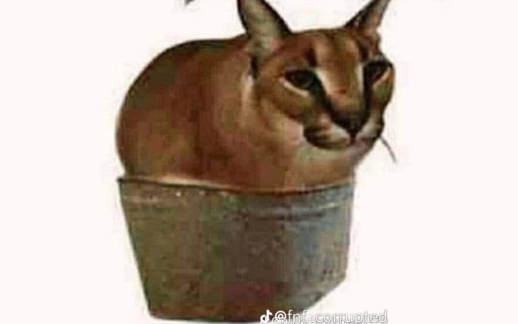 Zbiórka Zepsuł mi się stary laptop - zdjęcie główne