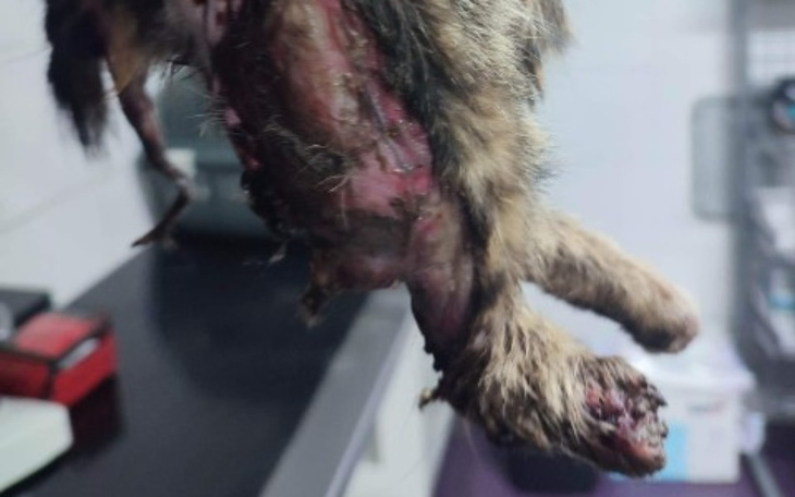 Zbiórka Chciała się tylko ogrzać... - zdjęcie główne