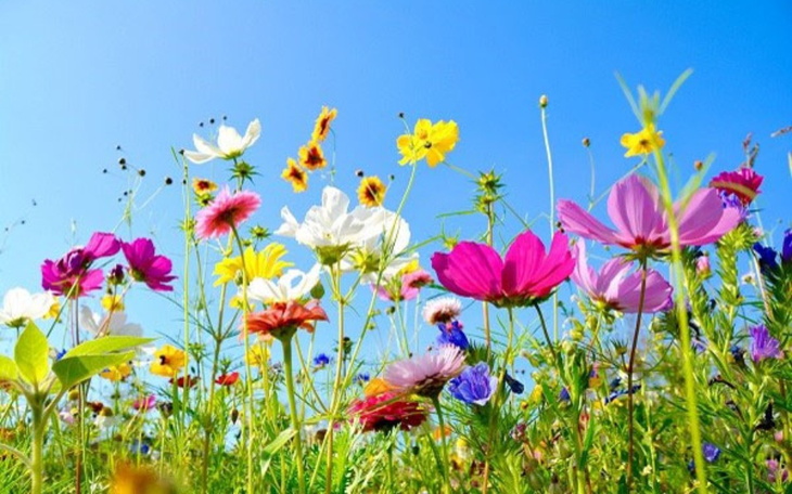 Zbiórka Na zakup motoru - zdjęcie główne