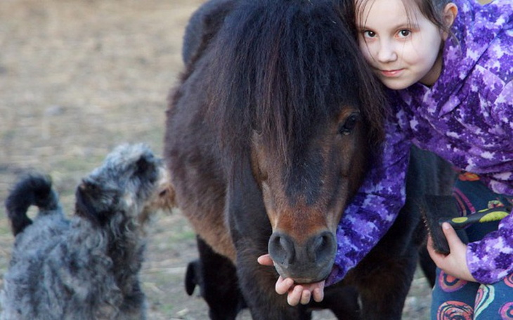 Zbiórka Żebyś pokonał raka, Przyjacielu - zdjęcie główne