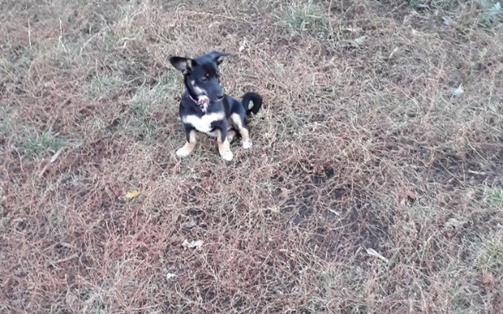 Zbiórka Zbiórka na Wakacje. :))) - zdjęcie główne