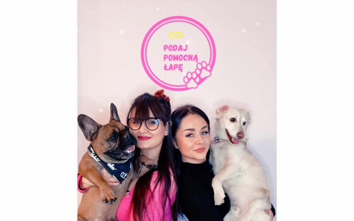 Zbiórka Projekt Podaj Pomocną Łapę - zdjęcie główne