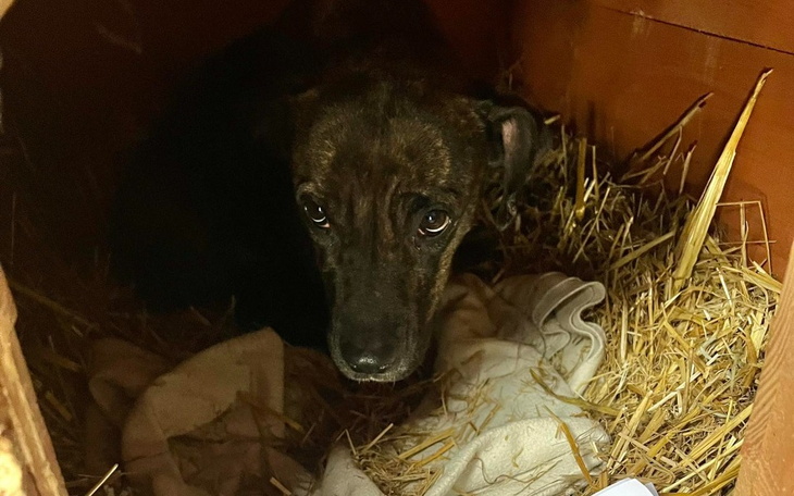 Zbiórka Anty Kleszcze 2024 - zdjęcie główne