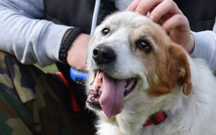 Zbiórka Pomóż nam w walce z udarem - zdjęcie główne